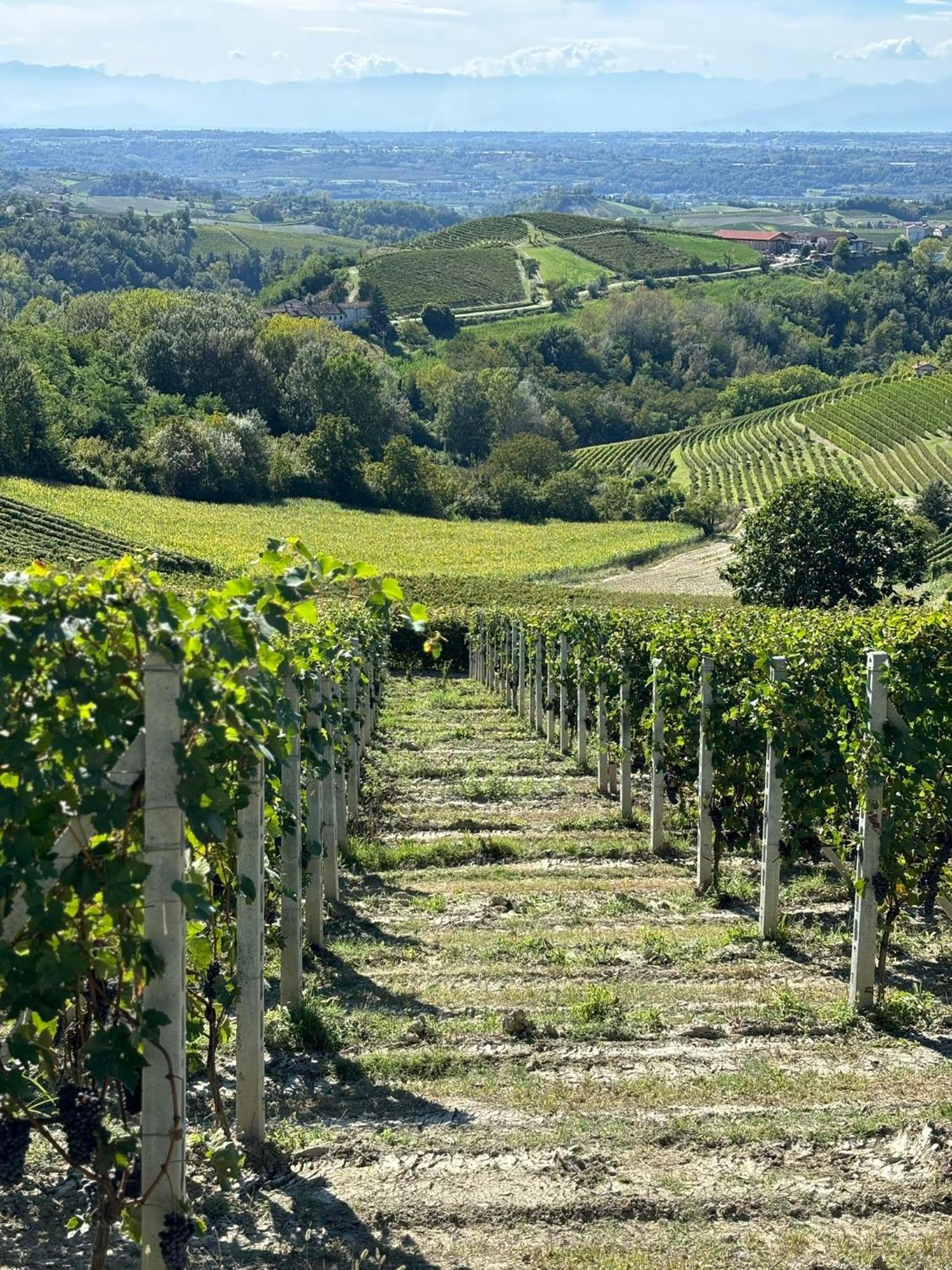 Appartamento "La Poesia Della Terra" Monforte dʼAlba Exterior foto